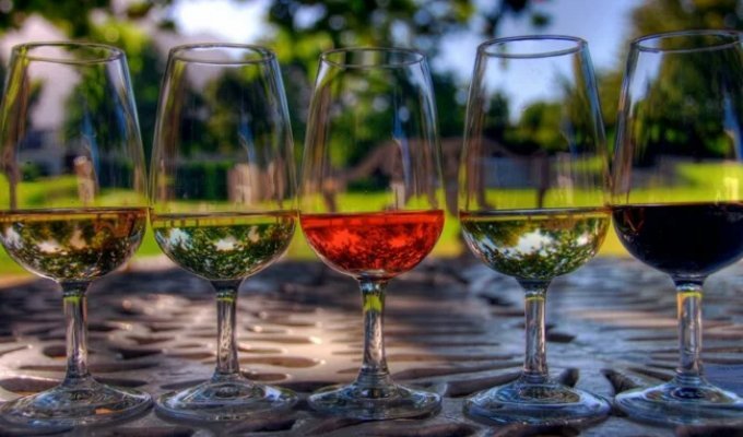 Еліксир богів: 36 найцікавіших фактів про вино (37 фото)