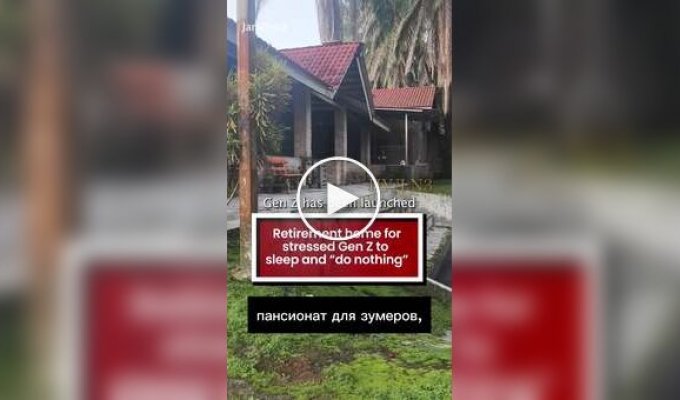 Дом престарелых для зумеров