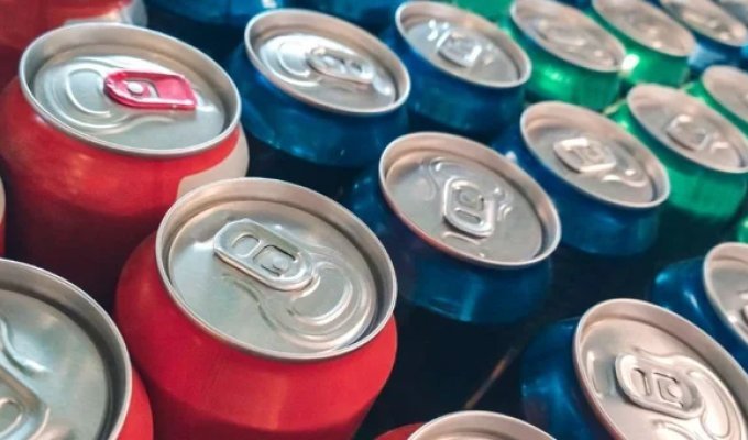 Искусственные подсластители в диетической коле и жевательной резинке наносят вред сердцу и мозгу (4 фото)