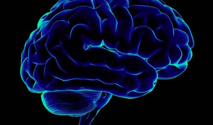 Невероятные факты о человеческом мозге (10 фото)