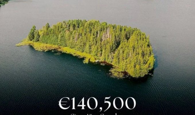 An Island in Sweden is Selling for 140 thousand euros (6 photos)