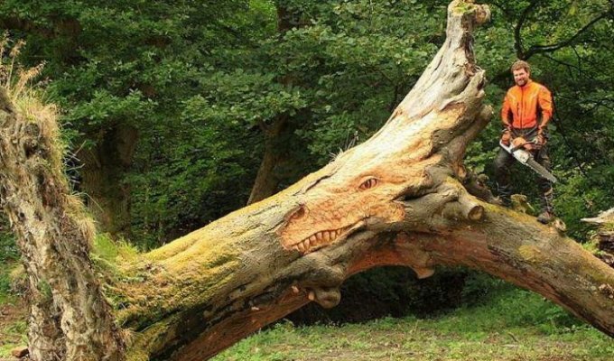 Великолепные изделия из дерева (33 фото)