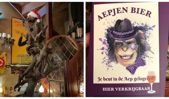 In't Epjen is a unique bar where unusual currency was accepted in the old days (11 photos)