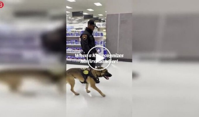 Служебный пес узнал своего первого хозяина и моментально растаял