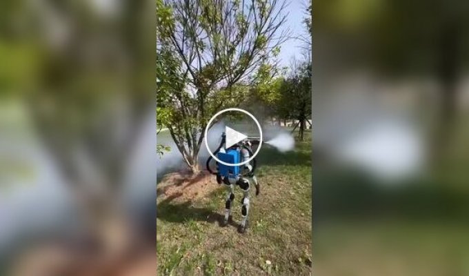 Роботы-гуманоиды распыляют ядовитый газ в Китае