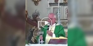 In Portugal, during a church service, a parrot flew into a church to drink wine