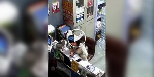 Кот пришел попрощаться
