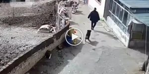Не растерялся