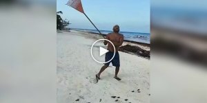 Мужчина пришел на помощь черепахам