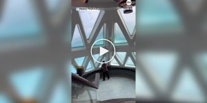 Огромные волны штурмуют круизный лайнер