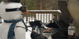 Cool pictures. Issue 3982 (116 photos)