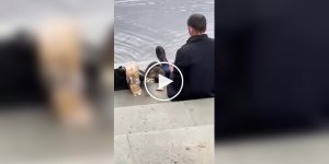 Сидим с бобром за столом, вдвоем