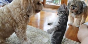 Прикольні картинки. Випуск 3969 (87 фото)