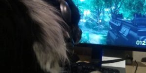 Прикольные картинки. Выпуск 3972 (116 фото)