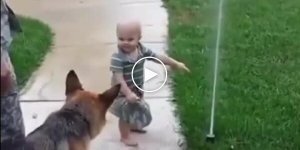 Kid shows his friend that there is no need to be afraid of the sprinkler