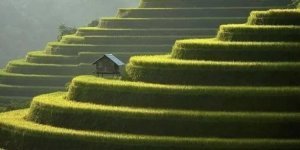 Прикольні картинки. Випуск 3991 (28 фото)