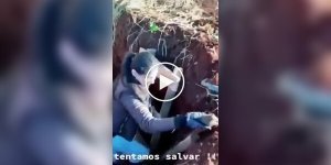 Спасение, радость и неожиданное продолжение