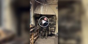 Укрощение древесины: паровая гибка деревянных оконных рам