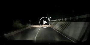 Умение ездить задним ходом может спасти жизнь