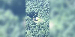Ідеальне житло для інтроверта