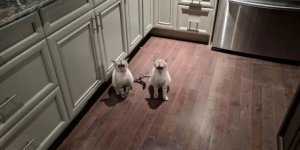 Cool pictures. Issue 3987 (87 photos)