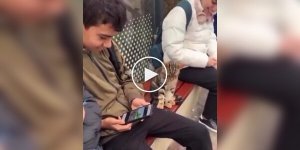 Кот проверил человека на дружелюбие лапой