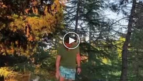 Товариський пес бажає познайомитися