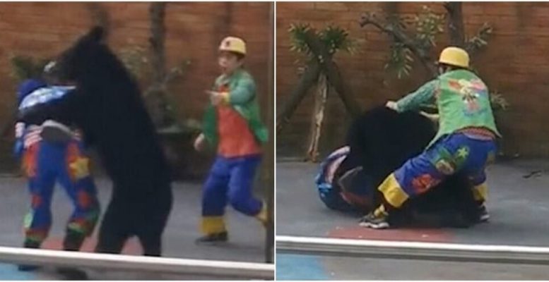 Цирковий ведмідь раптово напав на артиста (4 фото + 1 відео)