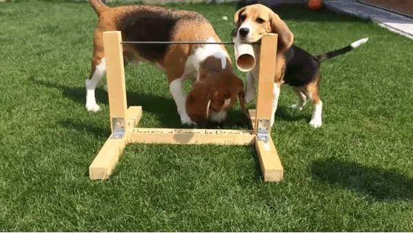 Классные гифки 914