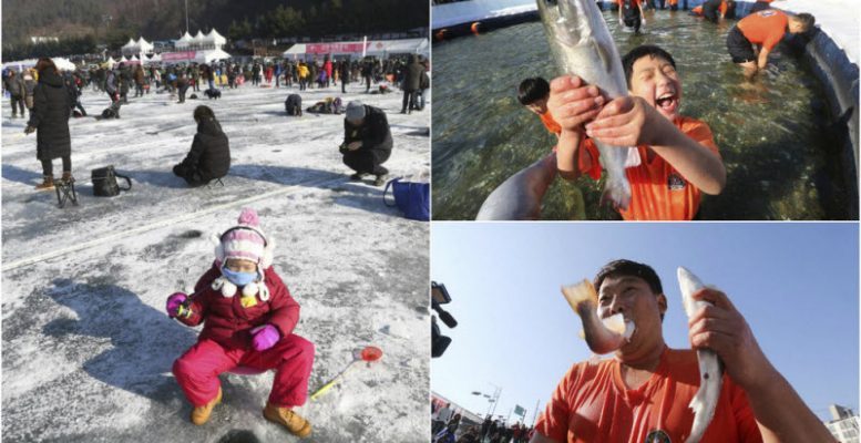 Конкурс по ловле форели в Южной Корее (11 фото)