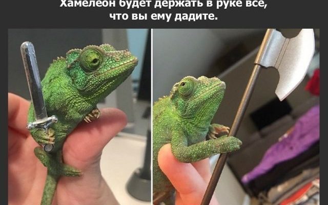 Прикольные картинки. Выпуск 2491