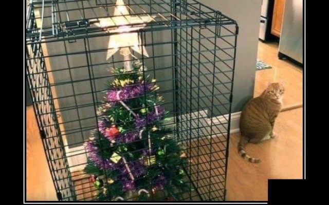 Демотиваторы 2533