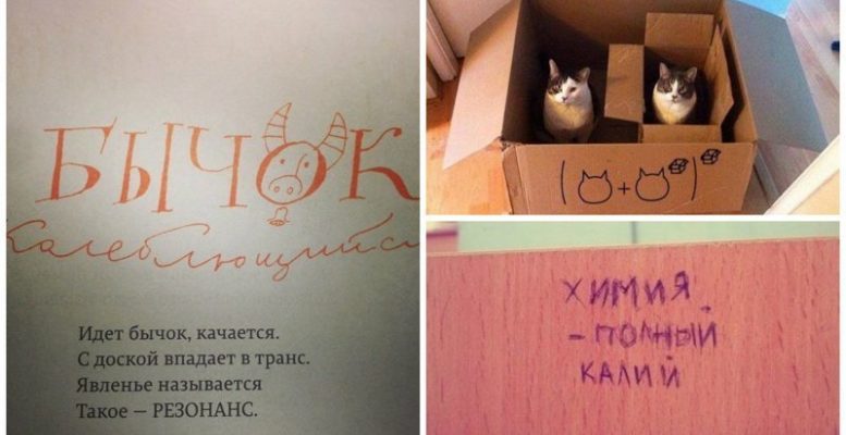 Наука - это весело и смешно (21 фото)