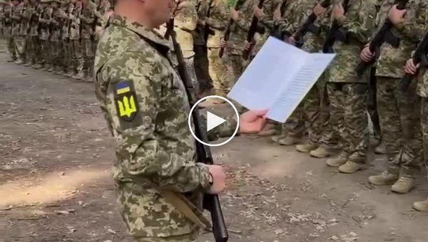 Ну шо, скотиняки, в бой пошла тяжелая артиллерия