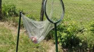 Что за штука: самые странные находки. Выпуск 236