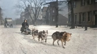 Вінегрет історичних кадрів минулих років. Випуск 198