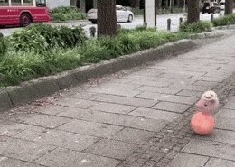 Cool gifs. Issue 2708