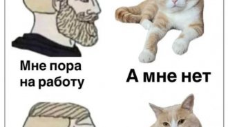 Подборка забавных твитов обо всем. Выпуск 758 (70 картинок)
