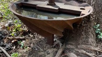 Что за штука: самые странные находки. Выпуск 231