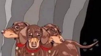 Лучшие шутки и мемы из Сети. Выпуск 714 (161 картинок)