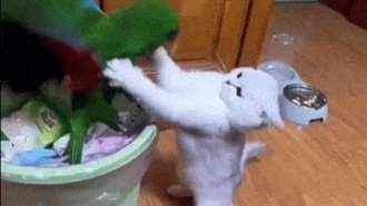 Класні гіфки. Випуск 2727