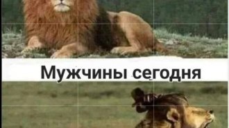 Лучшие шутки и мемы из Сети. Выпуск 725 (159 картинок)