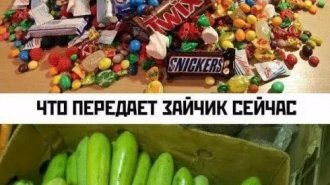 Лучшие шутки и мемы из Сети. Выпуск 696 (32 картинок)