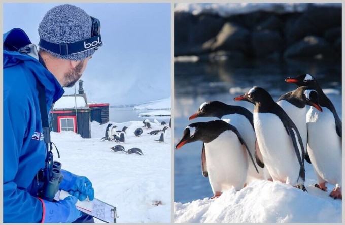 Считать пингвинов и встречать туристов: как работает почта в Антарктиде (9 фото)