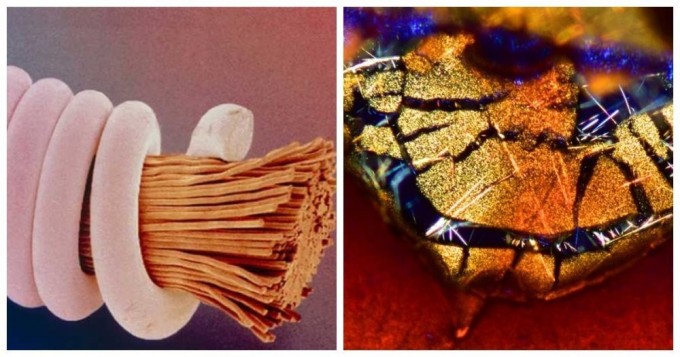 20 everyday things that look impressive under a microscope (21 photos)