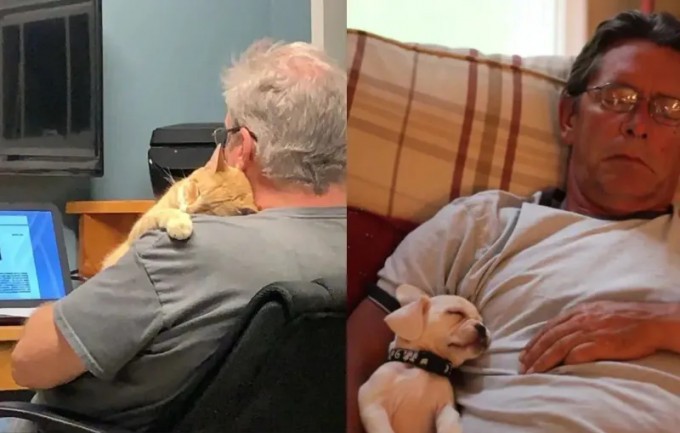 10+ Dads Who Were Against Pets (16 Photos)