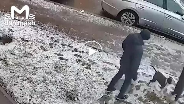 В России пес напал на девочку, которая выгуливала свою собачку рядом с домом