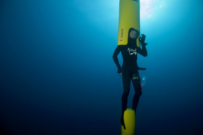 Top 5 mammals by diving depth. Winner - 3 km down! (8 photos)