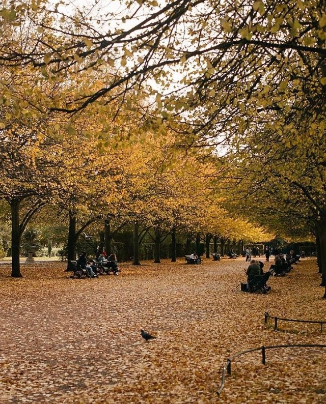 Осенний Лондон так и манит загадочностью (9 фото)