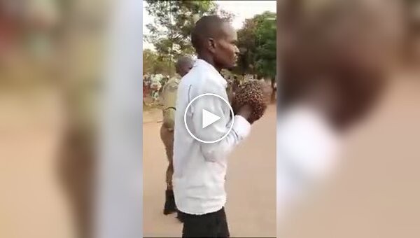 Африканская колдунья в Уганде арестовала мотоциклетного вора с помощью пчел